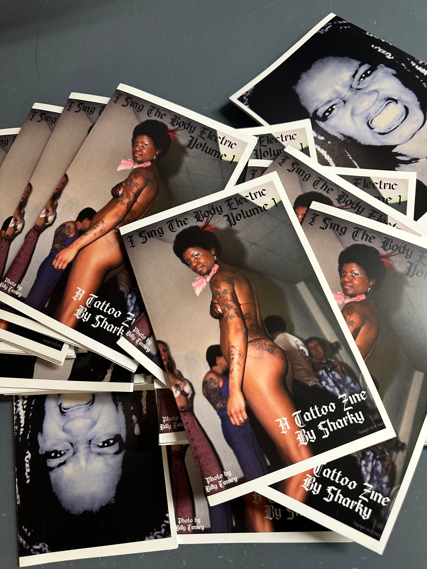 I Sing The Body Electric