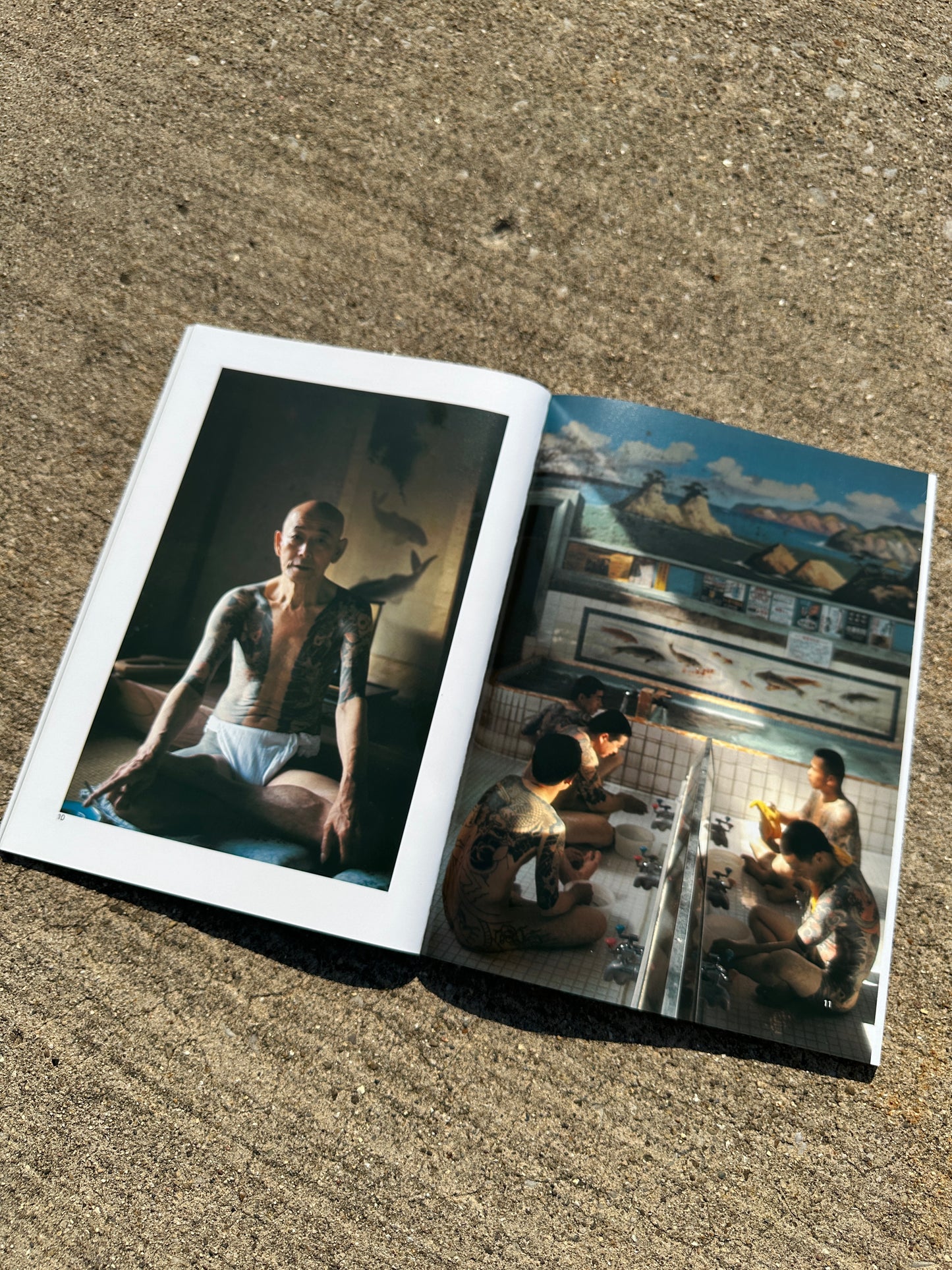 The Japanese Tattoo (1995) OUT OF PRINT