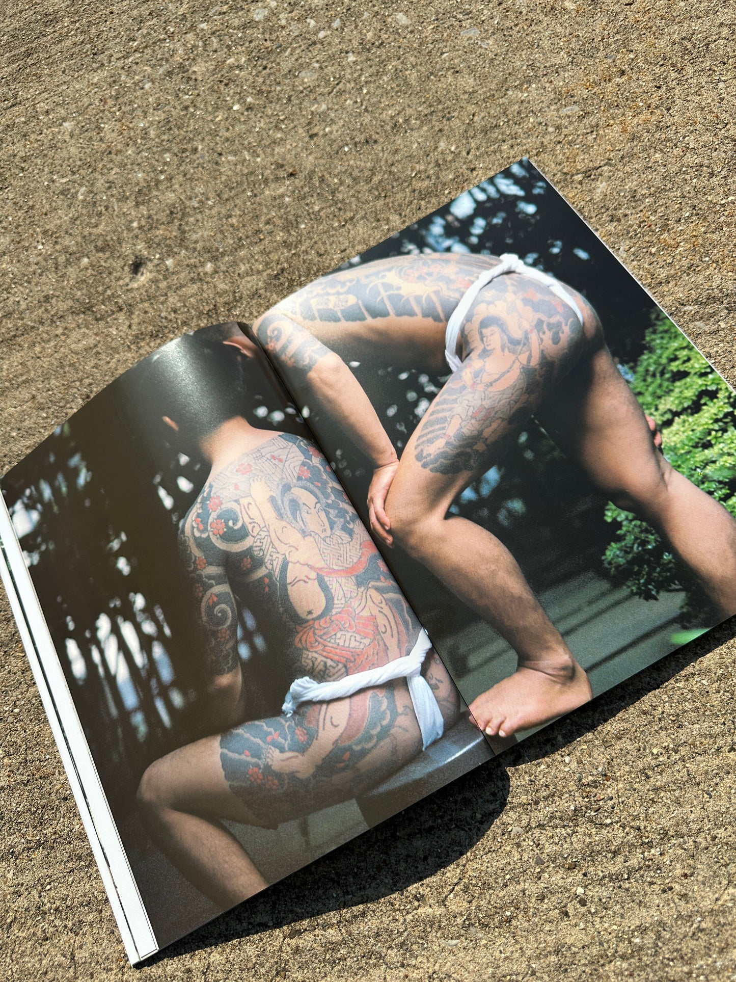 The Japanese Tattoo (1995) OUT OF PRINT